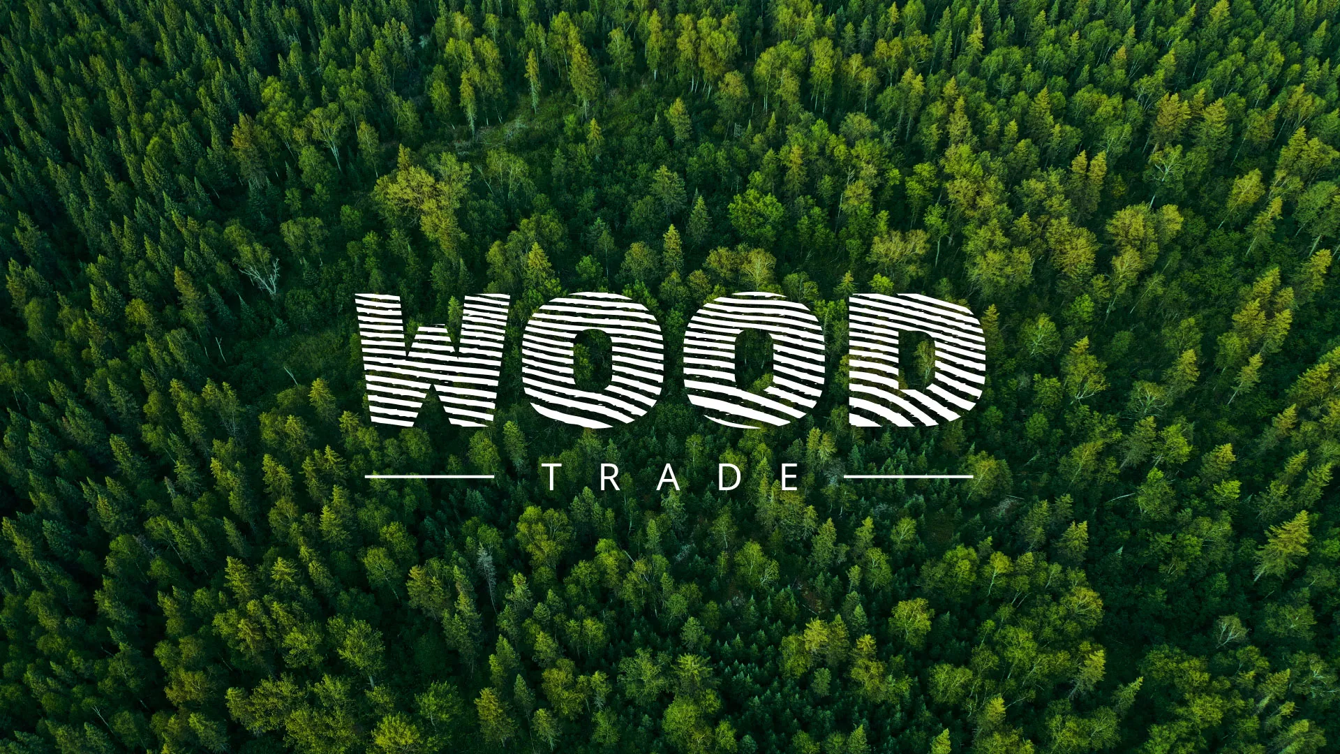 Разработка интернет-магазина компании «Wood Trade» в Сыктывкаре